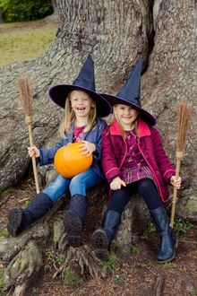 Under the Harry Potter tree Blenheim 2017