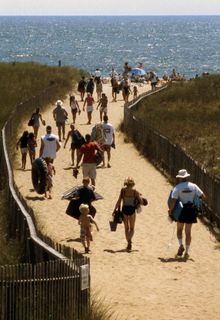 Beach Path