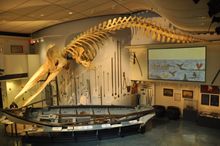 Nantucket Whaling Museum