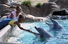 SeaWorld San Diego