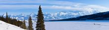 Denali musher on Wonder Lake (NPS Jacob W Frank)