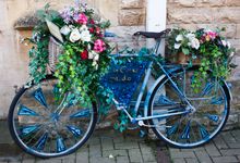 Decorated Bicycle competition