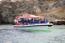 Adventure Rottnest Tour on the Eco Express