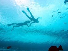 Underwater Rottnest tour, Rottnest Express