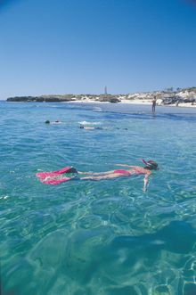 Rottnest Express Underwater Rottnest tour