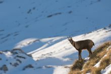 Abruzzo Winter Walking