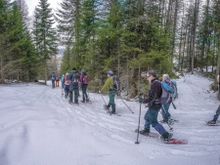 Bach in the Lechtal