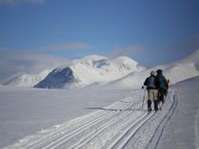 Norwegian Delights