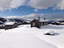 Norwegian Delights