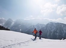 Engadine