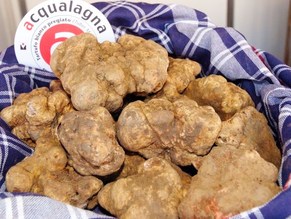 Acqualagna truffles