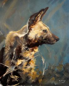 Original wild dog painting by Robert Teeling for Sketch for Survival