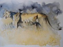 Ngorongoro Lioness by Karen Laurence Rowe for Sketch for Survival