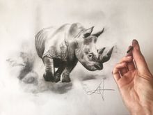 Rhino for Sketch for Survival by Katy Jade Dobson
