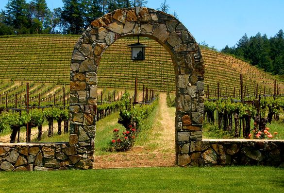 Discover such places as Pezzi King Vineyards, while visiting Sonoma County, California.