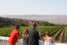 Hahn Estate Vineyard