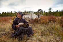 Reindeer Tribes of Mongolia