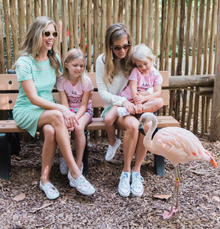 Flamingo Experience at the Palm Beach Zoo & Conservation Society
