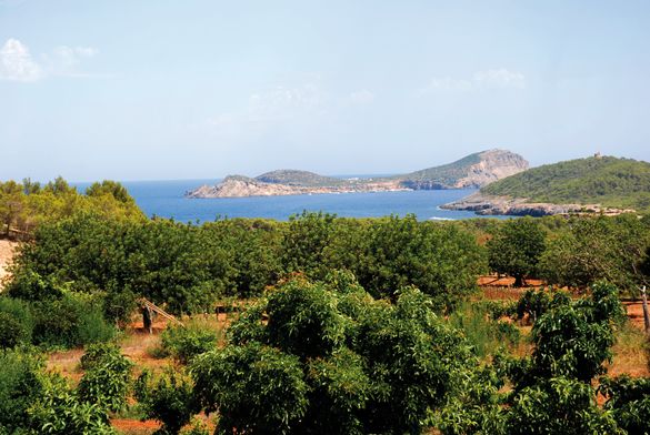 Posidonia, Formentera 