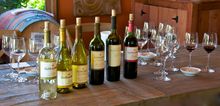 Tasting wine is the top reason people visit Sonoma County. Clos du Bois is one of more than 370 wineries open to the public in t