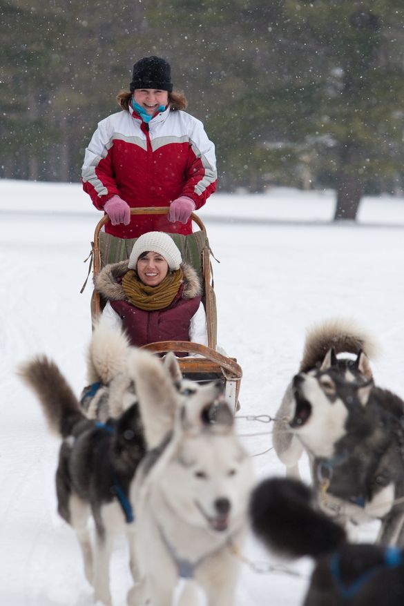 Dogsledding