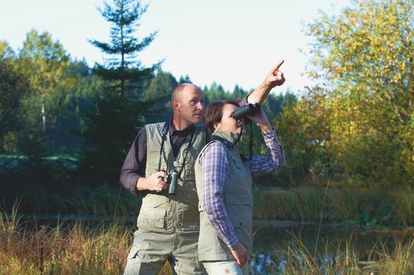 SWAROVSKI OPTIK binoculars used for wildlife watching