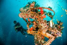 Centara Grand Island Resort & Spa Maldives_Diving
