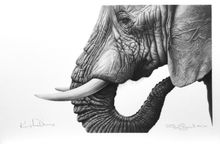 Ele Thoughts by artist Richard Symonds, co signed by Kristin Davis