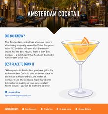 Amsterdam Cocktail - Amsterdam City Break - Netherlands