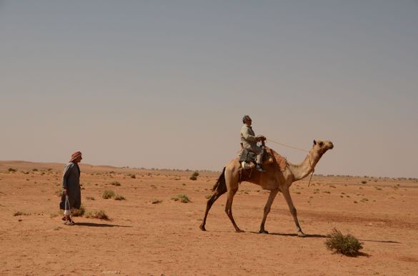 Desert Nomads Desert Nomads
