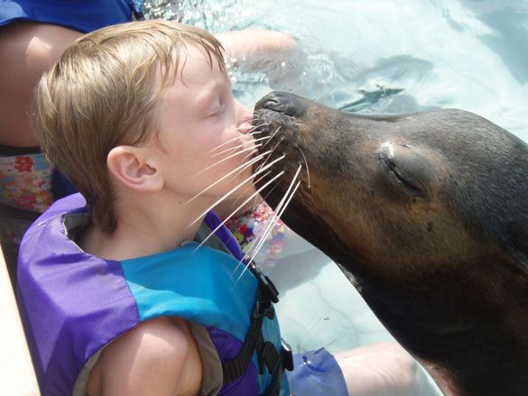 Milwaukee County Zoo - Ocean's of Fun exhibit
