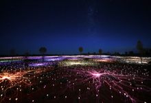 Field of Light Uluru 