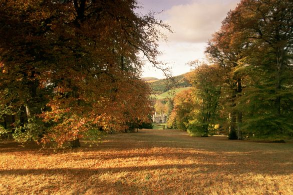 Dawyck Botanic Garden situated in the Tweed Valley, Scottish Borders