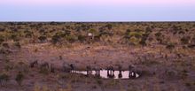 Botswana safari camp - Skybeds - image credit 'Natural Selection'