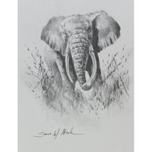 Elephant Simon Atack