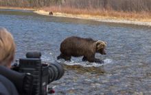 Bear Cave Mountain, Yukon