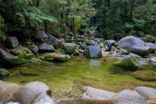 Cleopatra's Pool in Abel Tasman National Park is under the trees and has the added bonus of a natural waterslide lined with moss. 