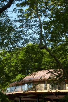 Chewton Glen's Treehouses set in their forest location