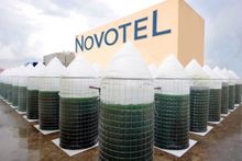 AccorHotels has committed to planting 1,000 urban vegetable gardens in its hotels.