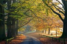 Mote Park, Maidstone
