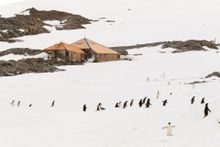 Mawson's Hut, Commonwealth Bay