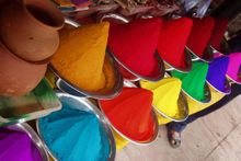 Bindu_Trips_Asia_and_the_Middle_East