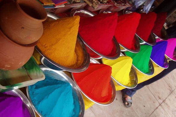 Bindu_Trips_Asia_and_the_Middle_East