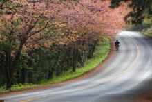 Doi Angkhang