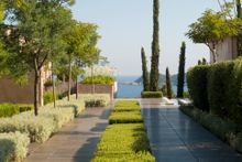 Luxury Wine Experience, Provence