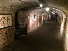 Pop up exhibition of Sketch for Survival artwork at the Crypt Gallery London