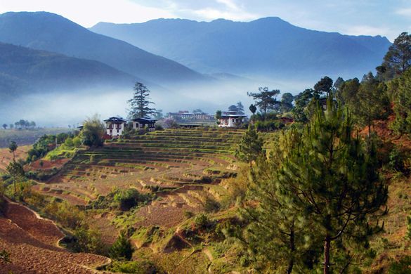 Punakha Valley, Bhutan