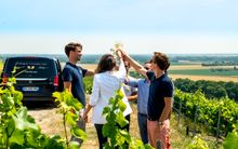 Champagne Tasting