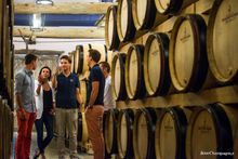Champagne Cellar Tour