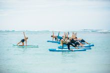 Wanderlust Sunshine Coast